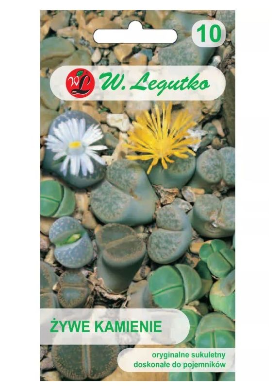 Żywe kamienie mieszanka gatunków 50 nasion Legutko