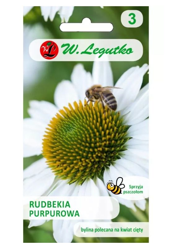 Rudbekia purpurowa - biała 1g Legutko