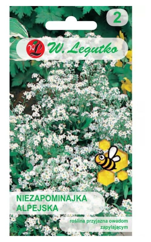 Niezapominajka alpejska - biała 0,3g Legutko