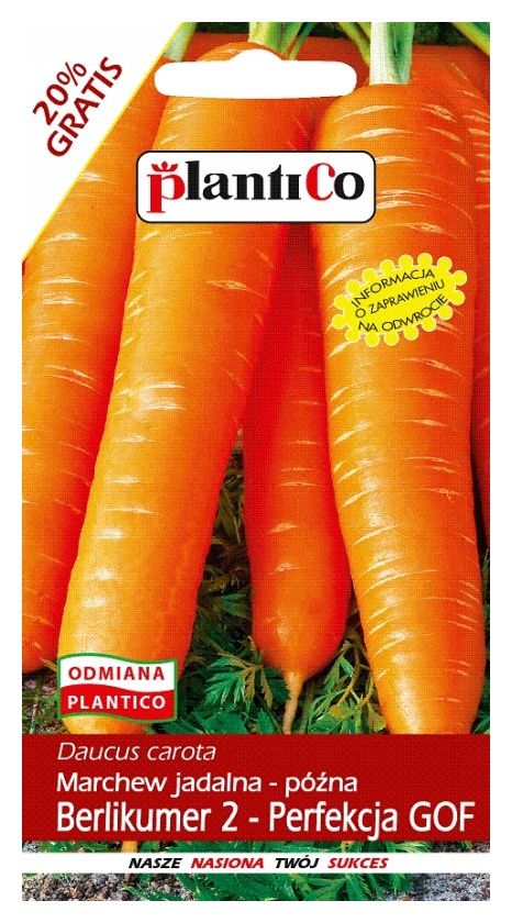 Marchew Berlikumer Perfekcja 500g PlantiCO