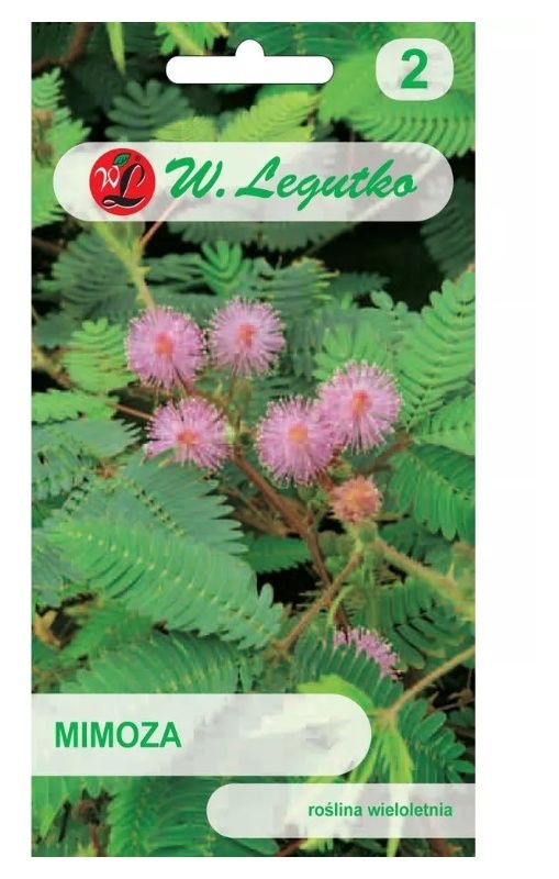 Mimoza różowa 0,2g Legutko