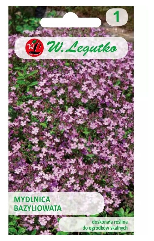 Mydlnica bazyliowata różowa 0,5g Legutko