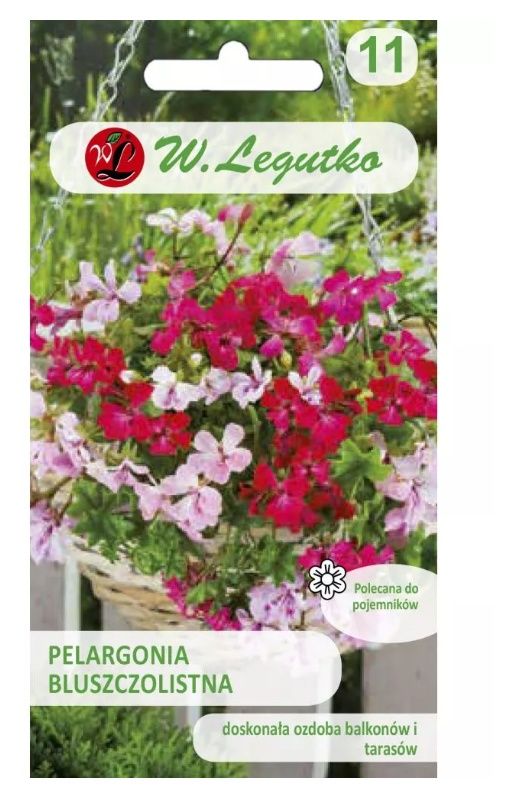 Pelargonia bluszczolistna Speedy F2 mieszanka 5 nasion Legutko