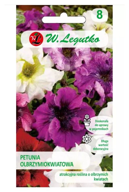 Petunia olbrzymiokwiatowa mieszanka 0,01g Legutko