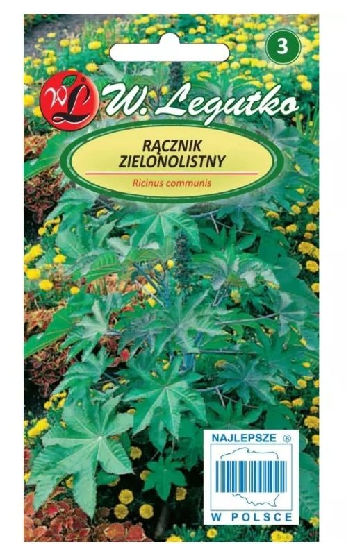 Rącznik zielonolistny 6 nasion Legutko