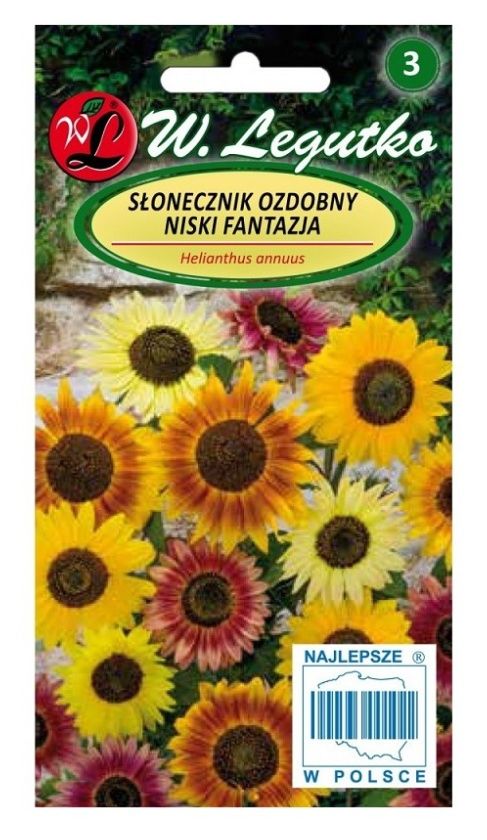 Słonecznik ozdobny niski Fantazja 2g Legutko