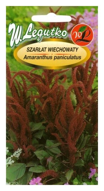 Szarłat wiechowaty czerwonoszka 1g Legutko