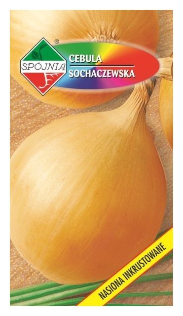 Cebula Sochaczewska 5g Spójnia