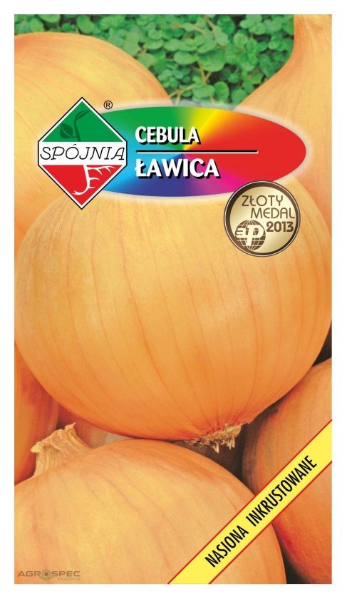 Cebula późna Ławica 5g Spójnia