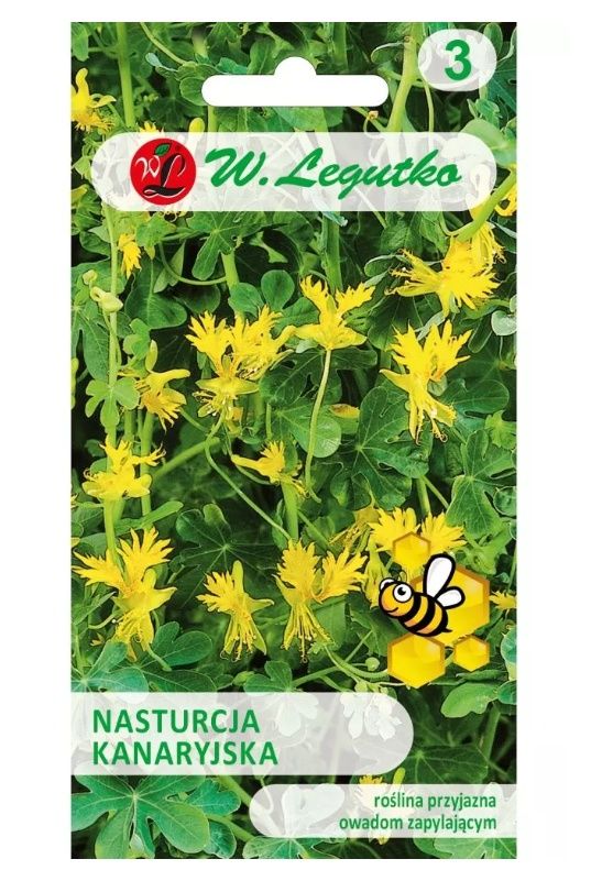 Nasturcja kanaryjska żółta 2g Legutko