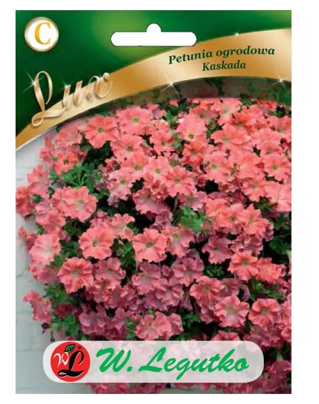 Petunia ogrodowa Kaskada łososiowa 0,02g Legutko