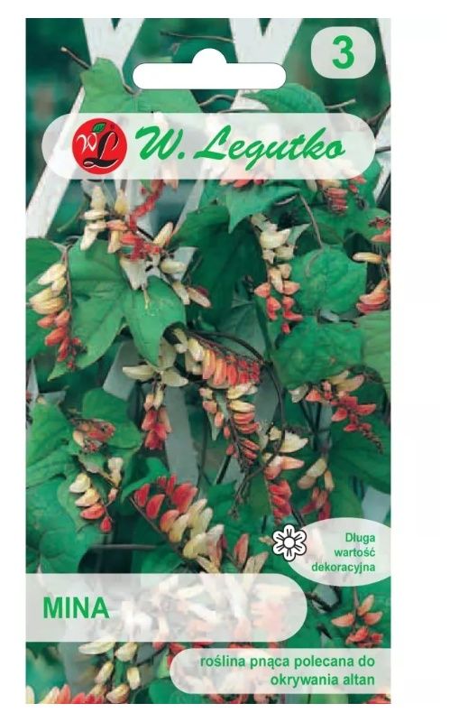 Mina czerwono-żółta 0,5g Legutko