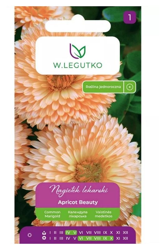 Nagietek lekarski Apricot Beauty 2g Legutko