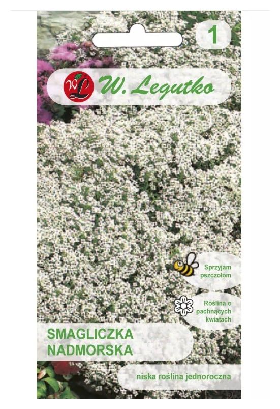 Smagliczka nadmorska biała 0,5g Legutko