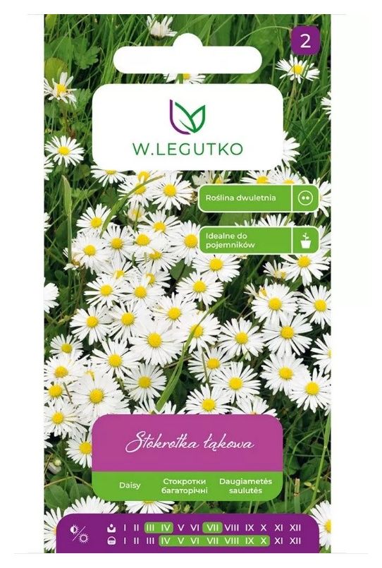 Stokrotka pospolita biała 0,2g Legutko