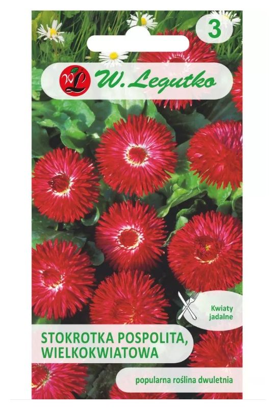 Stokrotka wielkokwiatowa Gracja 0,1g Legutko