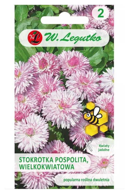 Stokrotka wielkokwiatowa Maria 0,1g Legutko