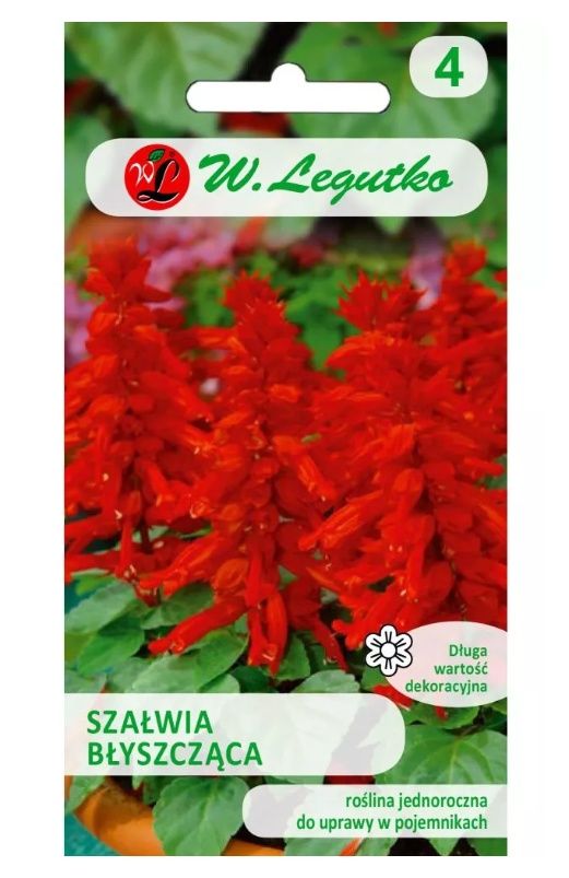 Szałwia błyszcząca czerwona 0,5g Legutko