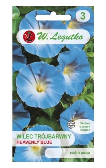 Wilec trójbarwny niebieski 2g Legutko