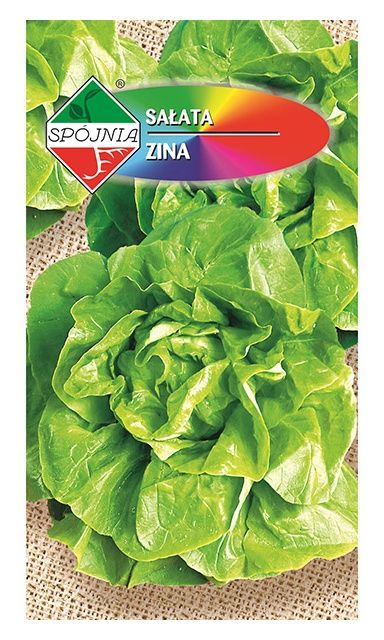Sałata Zina 2g Spójnia