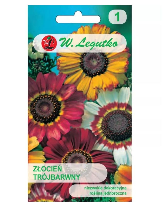 Złocień trójbarwny mieszanka 1g Legutko