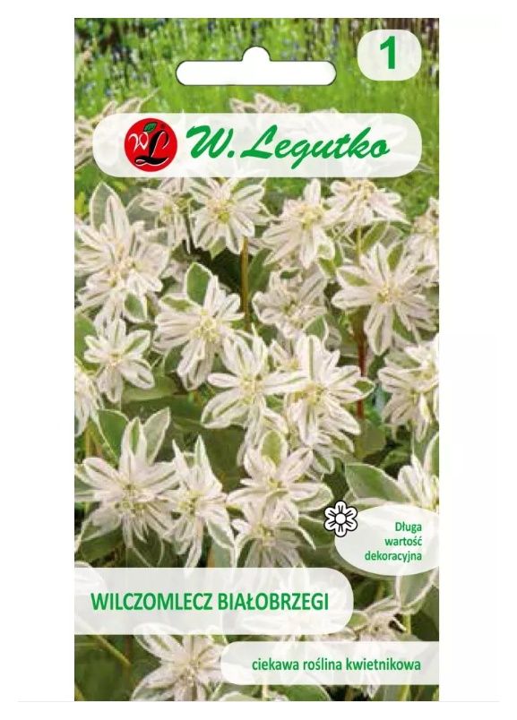 Wilczomlecz białobrzegi liście zielono-białe 0,5g Legutko