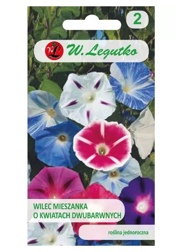Wilec Powój pnący mix dwubarwny 2g Legutko