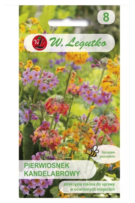 Pierwiosnek kandelabrowy mieszanka 0,02g Legutko