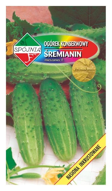Ogórek Śremianin F1 Plantico