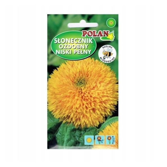 Słonecznik ozdobny pełny niski 2g Polan