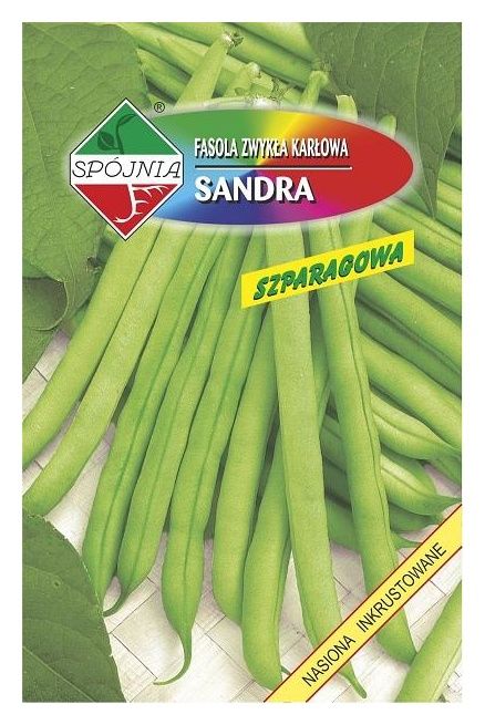Fasola zielona szparagowa Sandra 50g Spójnia