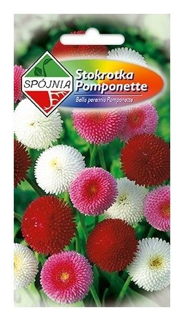 Stokrotka Pomponette 0,3g Spójnia