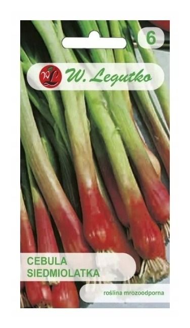 Cebula siedmiolatka Red Toga 2g Legutko