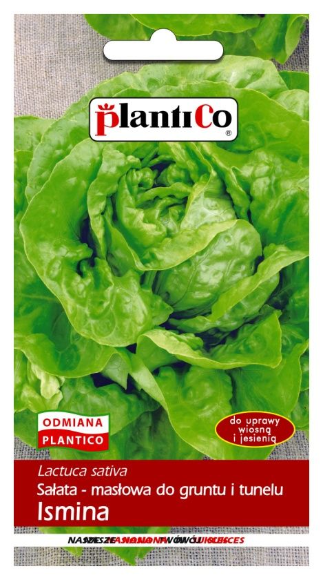 Sałata masłowa wczesna Ismina 1g PlantiCO