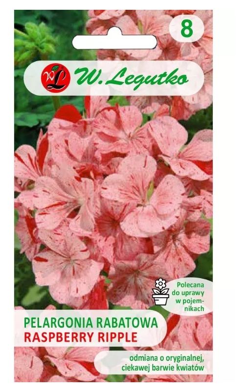 Pelargonia rabatowa - Raspbery Ripple 0,04g Legutko