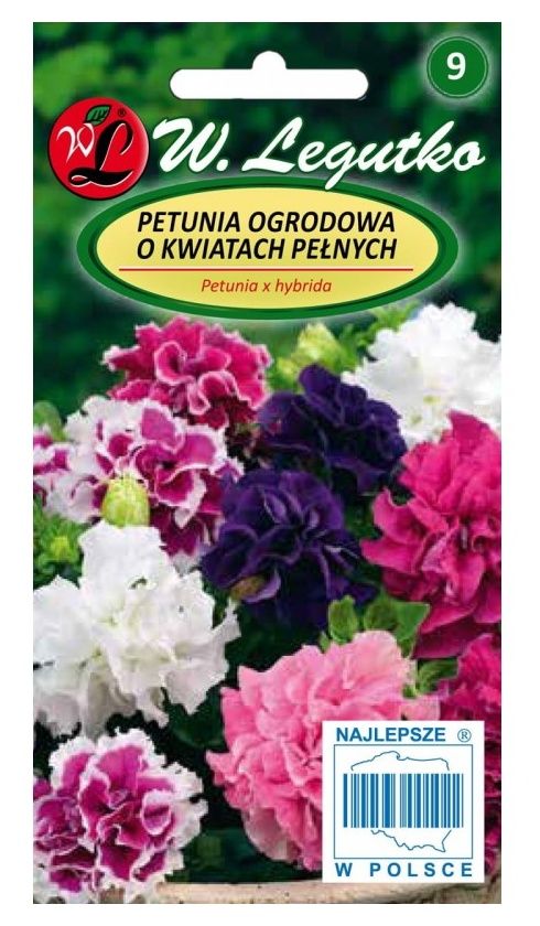 Petunia ogrodowa pełna Polka F2 mieszanka 50 nasion Legutko