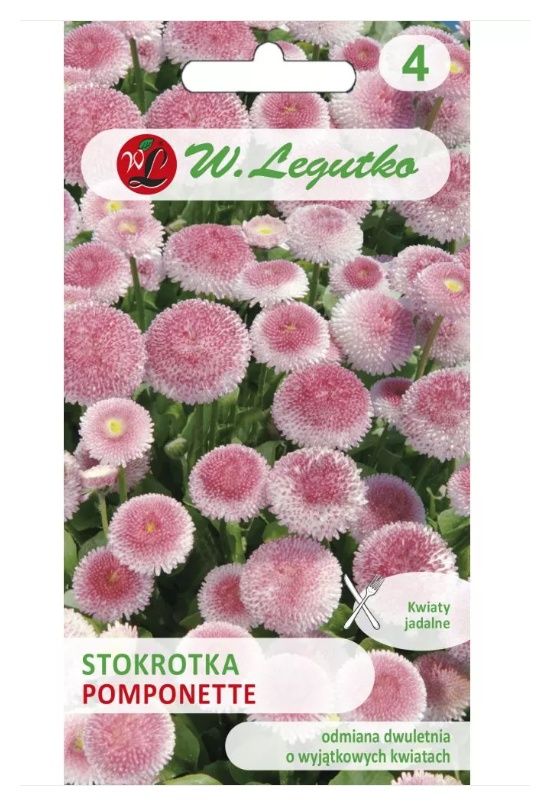 Stokrotka Pomponette różowa 0,1g Legutko