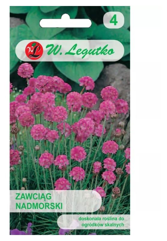 Zawciąg nadmorski różowy 0,15g Legutko