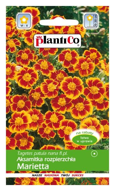 Aksamitka rozpierzchła Marietta 1g PlantiCo