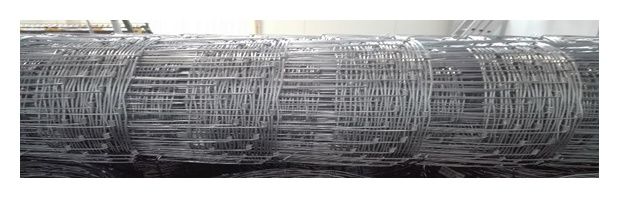 Siatka rolno-leśna 160/23/15 ocynkowana 50mb 