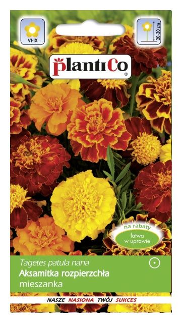 Aksamitka rozpierzchła mieszanka 1g PlantiCo