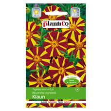 Aksamitka wyniosła KLAUN 1g Plantico