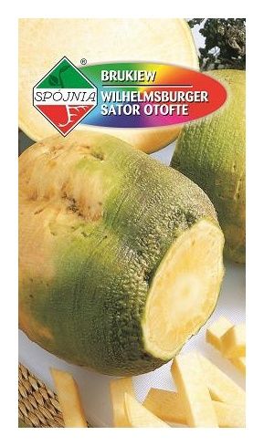 Brukiew Wilhelmsburger 10g Spójnia