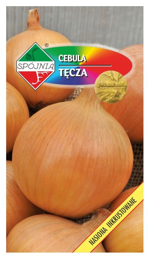 Cebula Tęcza 5g Spójnia