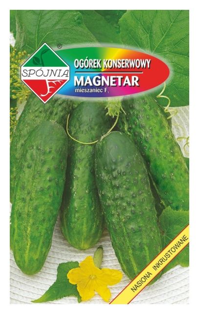 Ogórek gruntowy Magnetar 100g Plantico