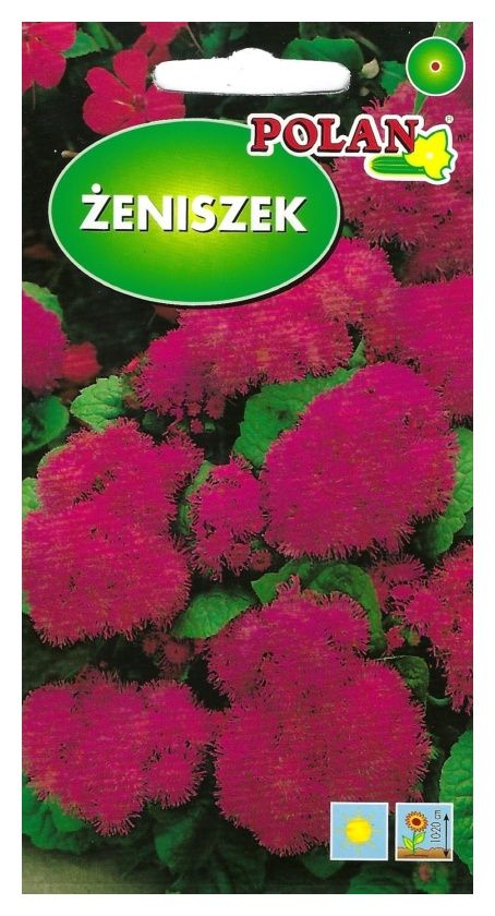 Żeniszek różowy 0.5g Polan