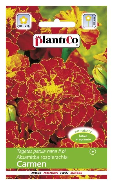 Aksamitka rozpierzchła Carmen 1g Plantico 