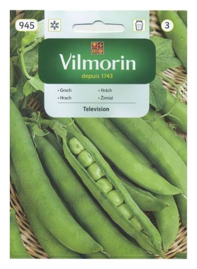 Groch łuskany Television 40g Vilmorin