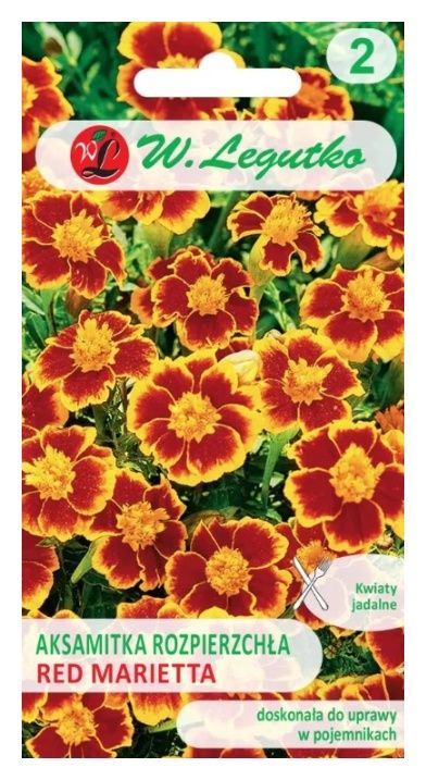 Aksamitka rozpierzchła Red Marietta 1g Legutko