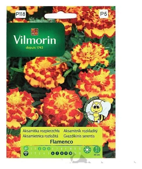Aksamitka rozpierzchła Flamenco 25 ziaren Vilmorin